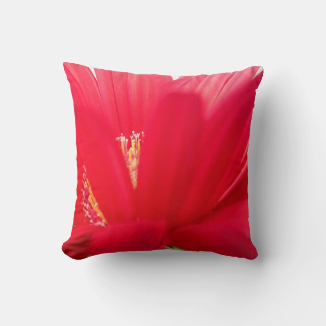 red gerber daisy: Almost solid red pillow (Front)