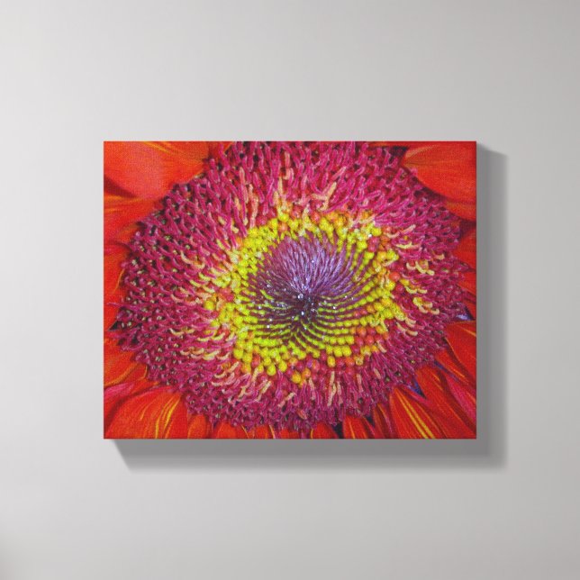 Red Gerber Daisy Canvas Print (Front)