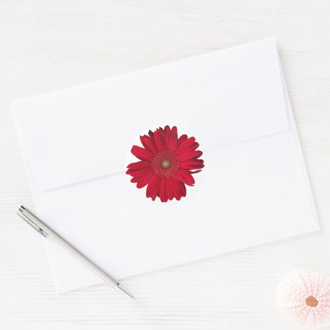 Red Gerber Daisy Close Up Photograph Classic Round Sticker (Envelope)