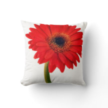 Red  Gerber Daisy Flowers Floral Daisies Flower