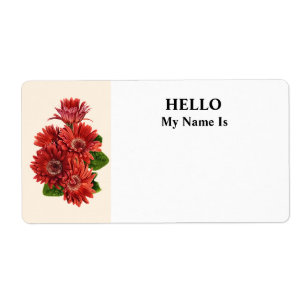 Red Gerbera Daisies