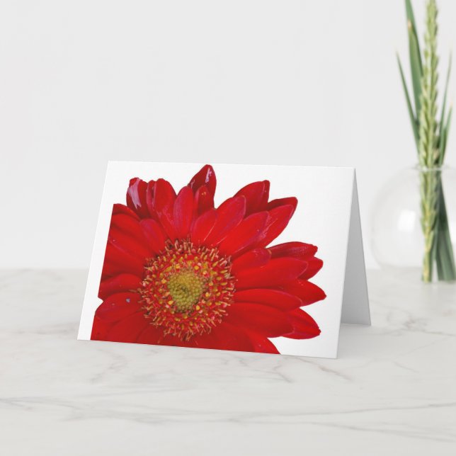 Red Gerbera Daisy Card (Front)