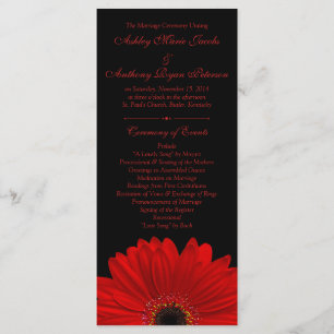 Red Gerbera Daisy Flower Black Wedding Program Programme
