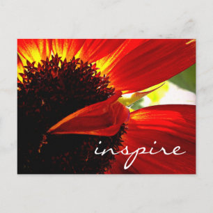 Red Gerbera Daisy Flower Inspire Script Modern Postcard