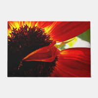 Red gerbera daisy flower photo bold modern stylish