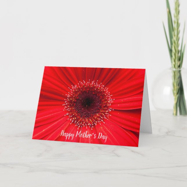 Red Gerbera Daisy for Mum Card (Front)
