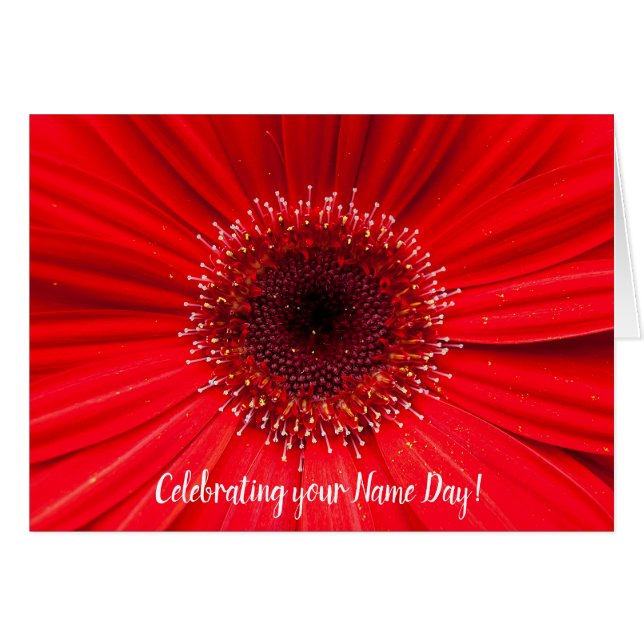 Red Gerbera Daisy for Name Day (Front Horizontal)