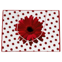 Red Gerbera Daisy Mother's Day