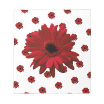 Red Gerbera Daisy Mother's Day