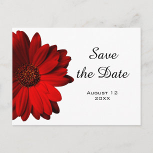 Red Gerbera Daisy Save the Date Postcard