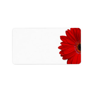 Red Gerbera Daisy Wedding Blank Address Label