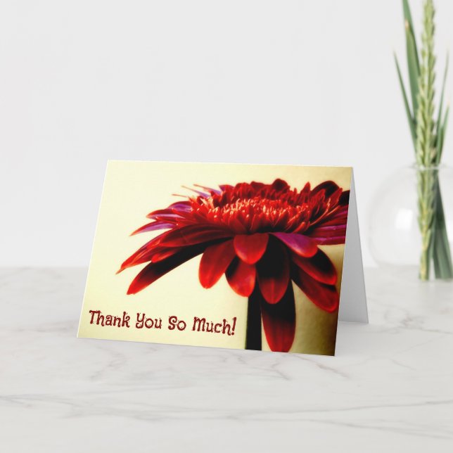 Red Gerbera Flower Thank You Card (Front)