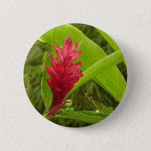Red Ginger Flower (Alpinia) 6 Cm Round Badge