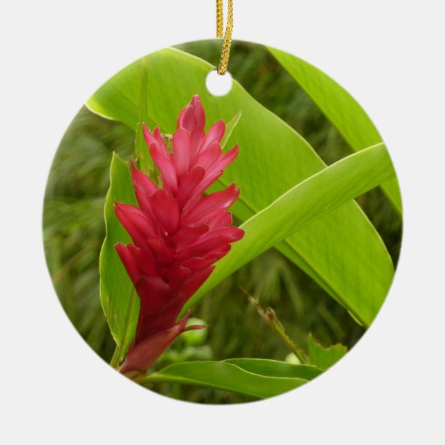 Red Ginger Flower (Alpinia) Tropical Ceramic Tree Decoration (Front)