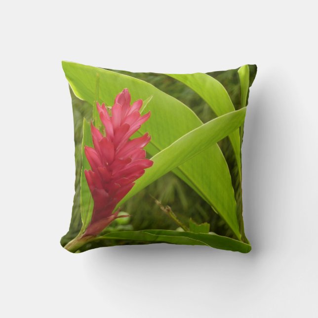 Red Ginger Flower (Alpinia) Tropical Cushion (Front)