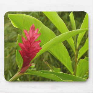Red Ginger Flower (Alpinia) Tropical Mouse Mat