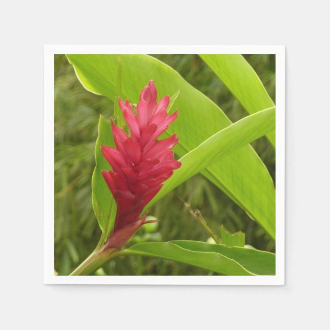 Red Ginger Flower (Alpinia) Tropical Napkin (Front)