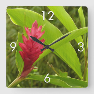 Red Ginger Flower (Alpinia) Tropical Square Wall Clock