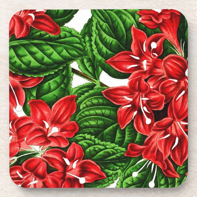 Red ginger flowers, vintage print coaster (Front)