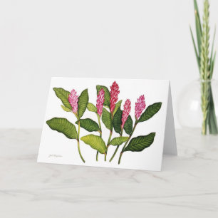 Red Ginger Holiday Card