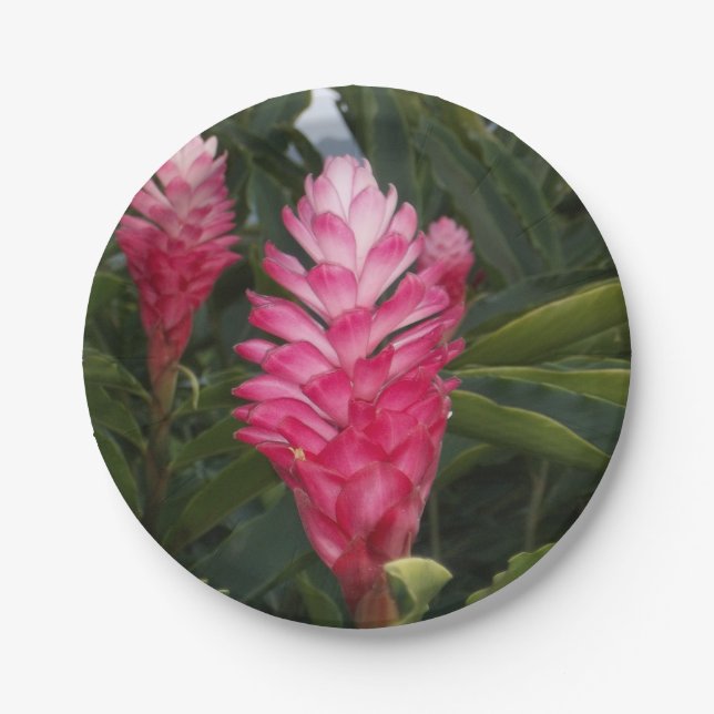 Red Ginger Paper Plate (Front)