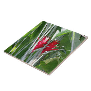 Red Ginger Tile