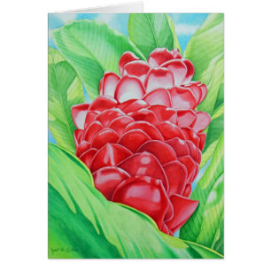 Red Ginger Watercolor