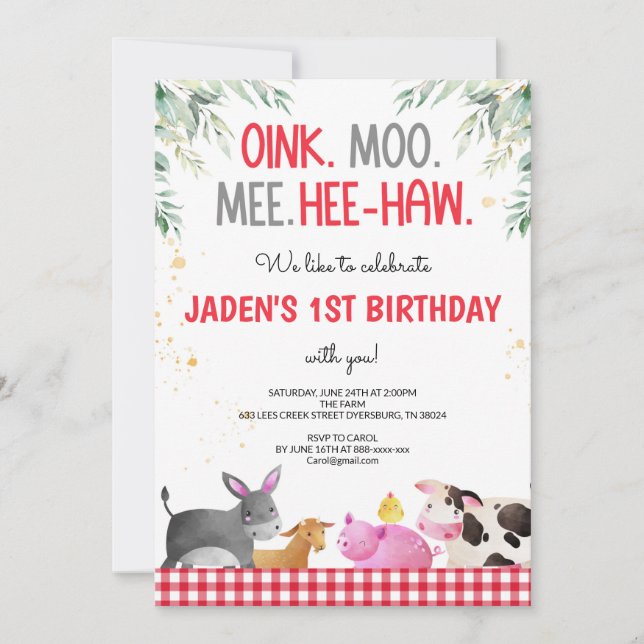 Red Gingham Farm Animals Birthday Barnyard Invitation (Front)
