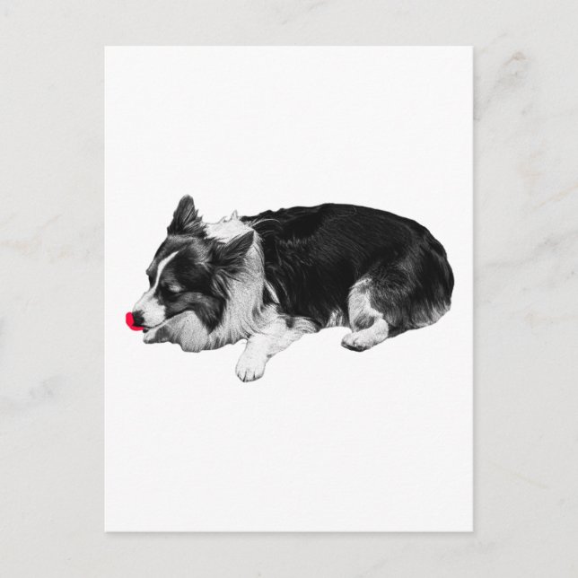 red gleam hello, corgi postcard (Front)