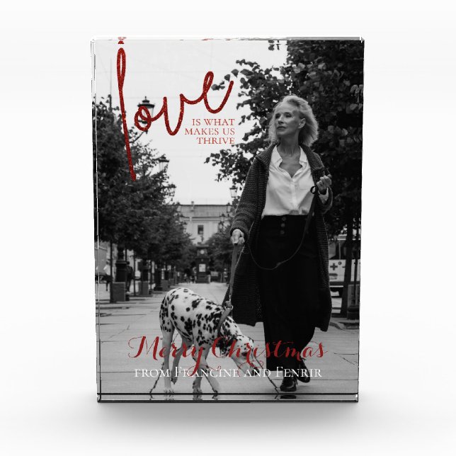 Red Glitter Script Elegant Christmas Photo Block (Front)