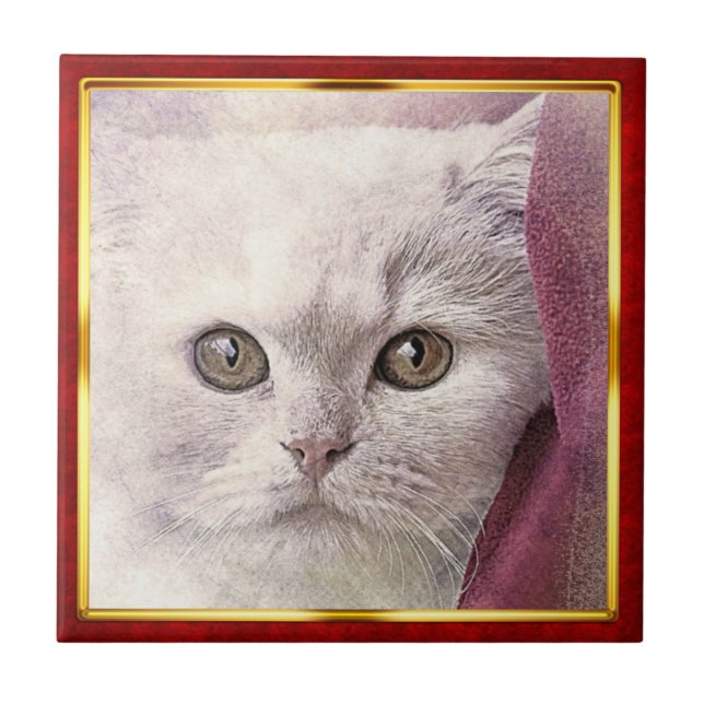 Red & Gold Framed Abstract Cat Print Tile (Front)