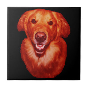 Red Golden Retriever Front Profile Tile