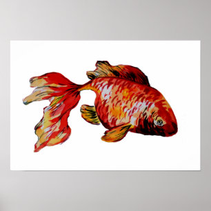 Red Goldfish Poster
