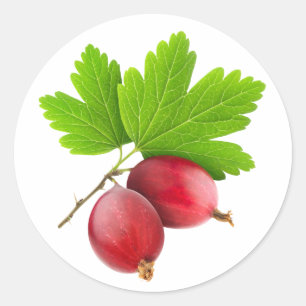 Red gooseberries classic round sticker