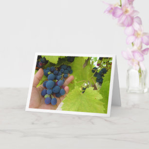 Red Grape Bunch in Hand Card
