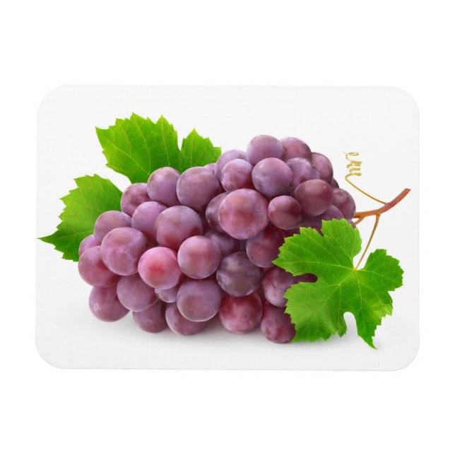 Red grape magnet (Horizontal)