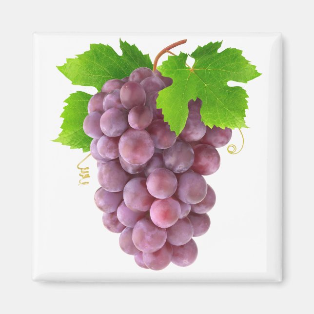 Red grapes magnet (Front)