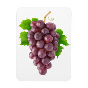 Red grapes magnet