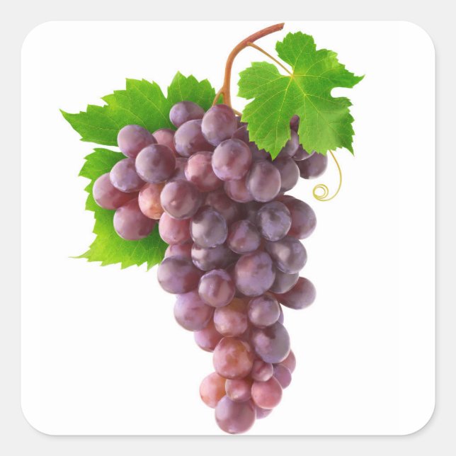 Red grapes square sticker (Front)