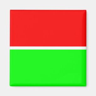 Red Green 001 magnet
