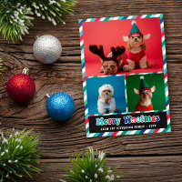 Red Green Blue Retro Merry Woofmas Photo Collage