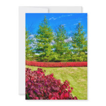 Red & Green Holiday Card 