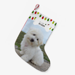 Red Green Lights Dog Bone Pet Photo Small Christmas Stocking