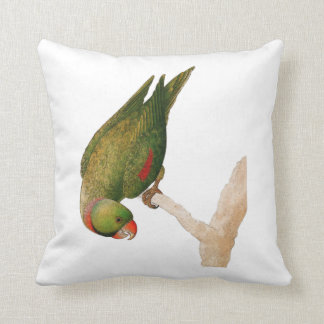 Red Green Parrot Cushion
