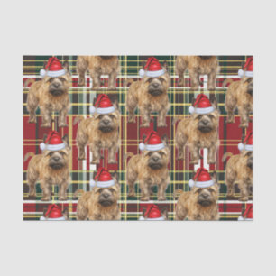 Red Green Plaid Cairn Terrier Christmas Holiday Tissue Paper
