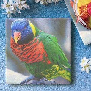 Red green yellow blue bird photo bold colourful stone coaster