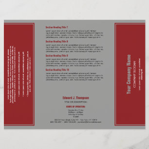 Red Grey Simple Border Brochure