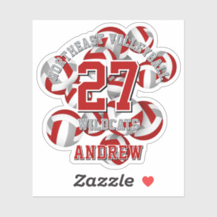 red grey sports team colours volleyballs kids