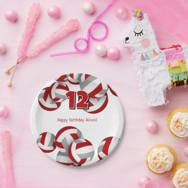 red grey volleyballs girls boys birthday party paper plate (Party)