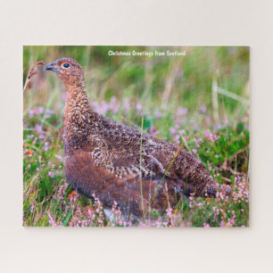 Red Grouse Jigsaw Puzzle